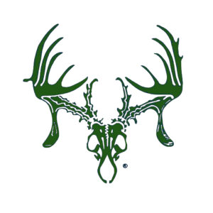 5" GREEN Skull Decal